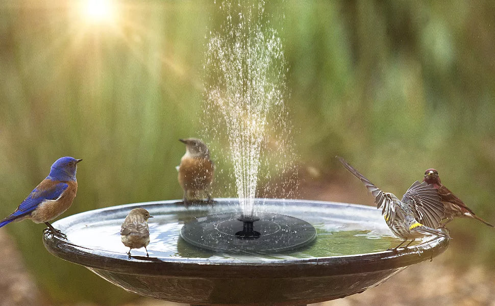 2024 Solar Oasis Garden Fountain